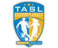 Triangle Adult Soccer League